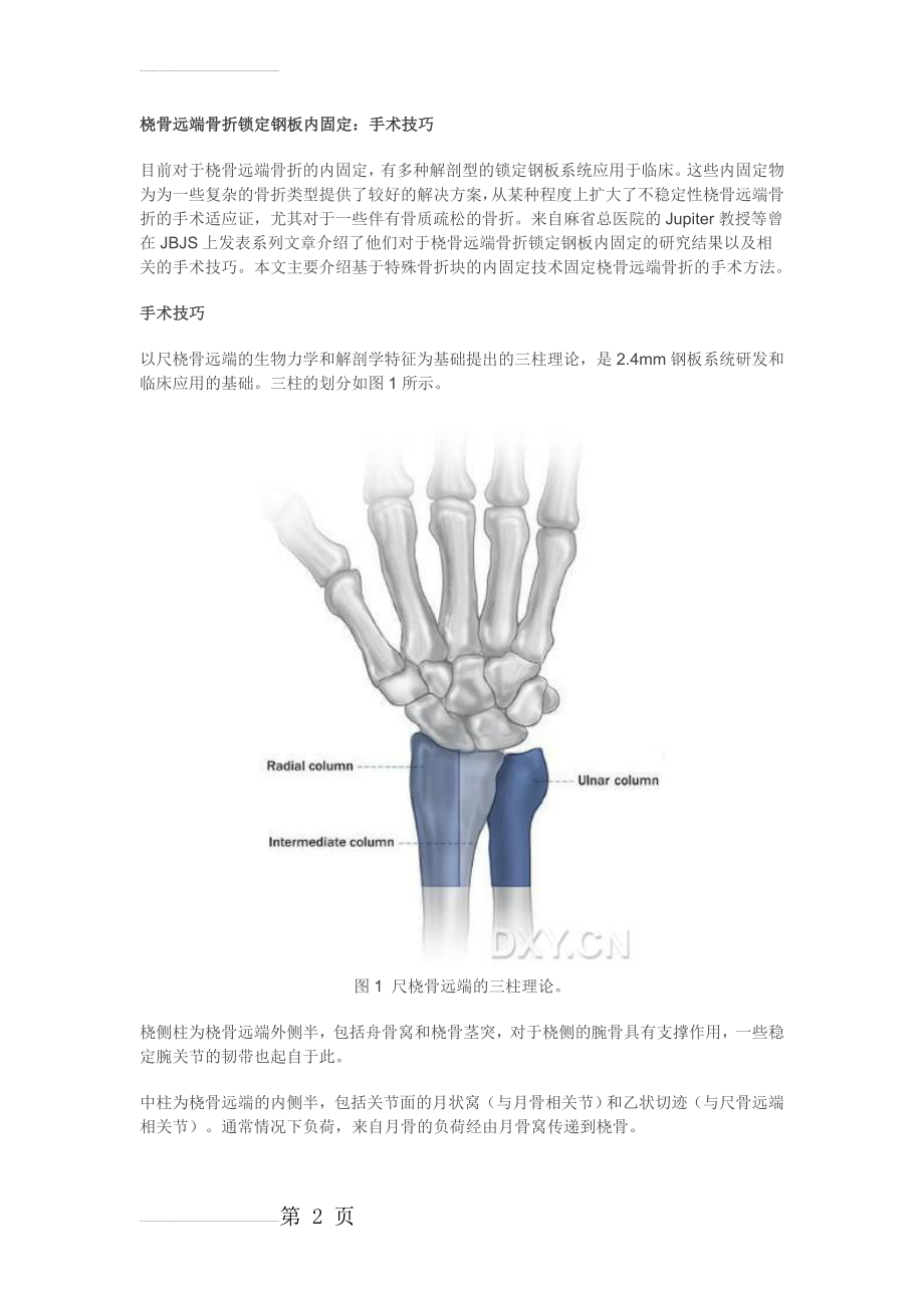 桡骨远端骨折锁定钢板内固定：手术技巧整理(14页).doc_第2页