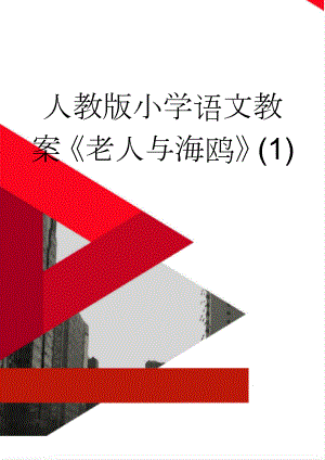 人教版小学语文教案《老人与海鸥》(1)(4页).doc