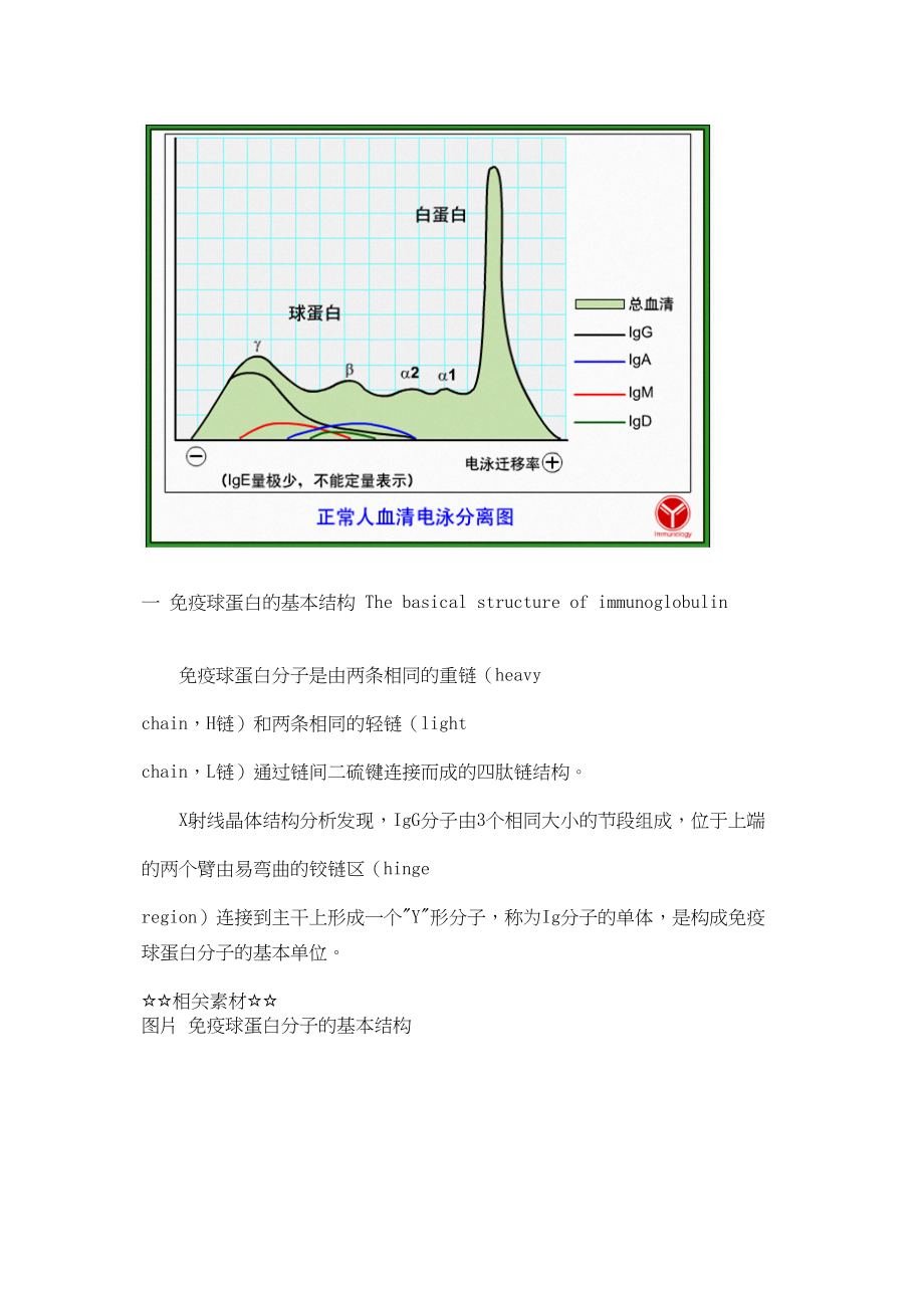 医学专题一免疫球蛋白的结构.docx_第2页