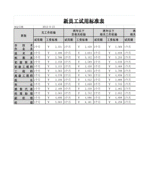 人力资源部HR人事表格新员工试用标准表.xlsx