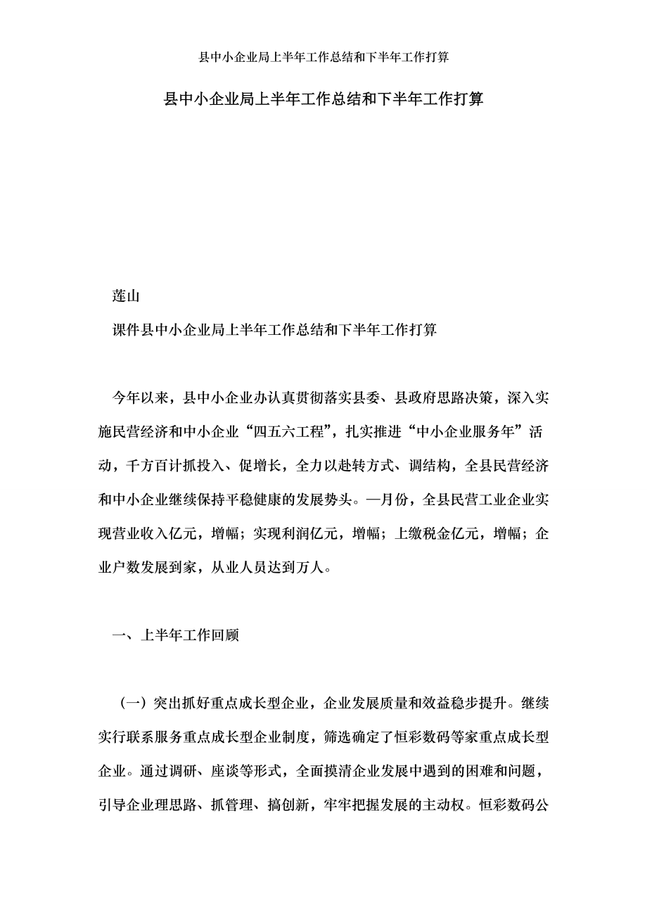 县中小企业局上半年工作总结和下半年工作打算.doc_第1页