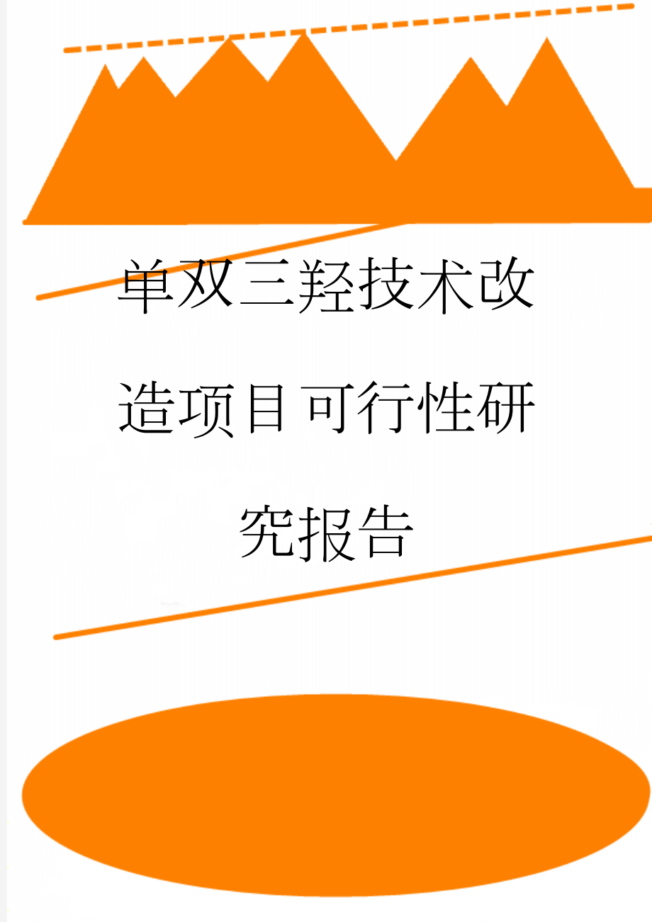 单双三羟技术改造项目可行性研究报告(66页).doc_第1页