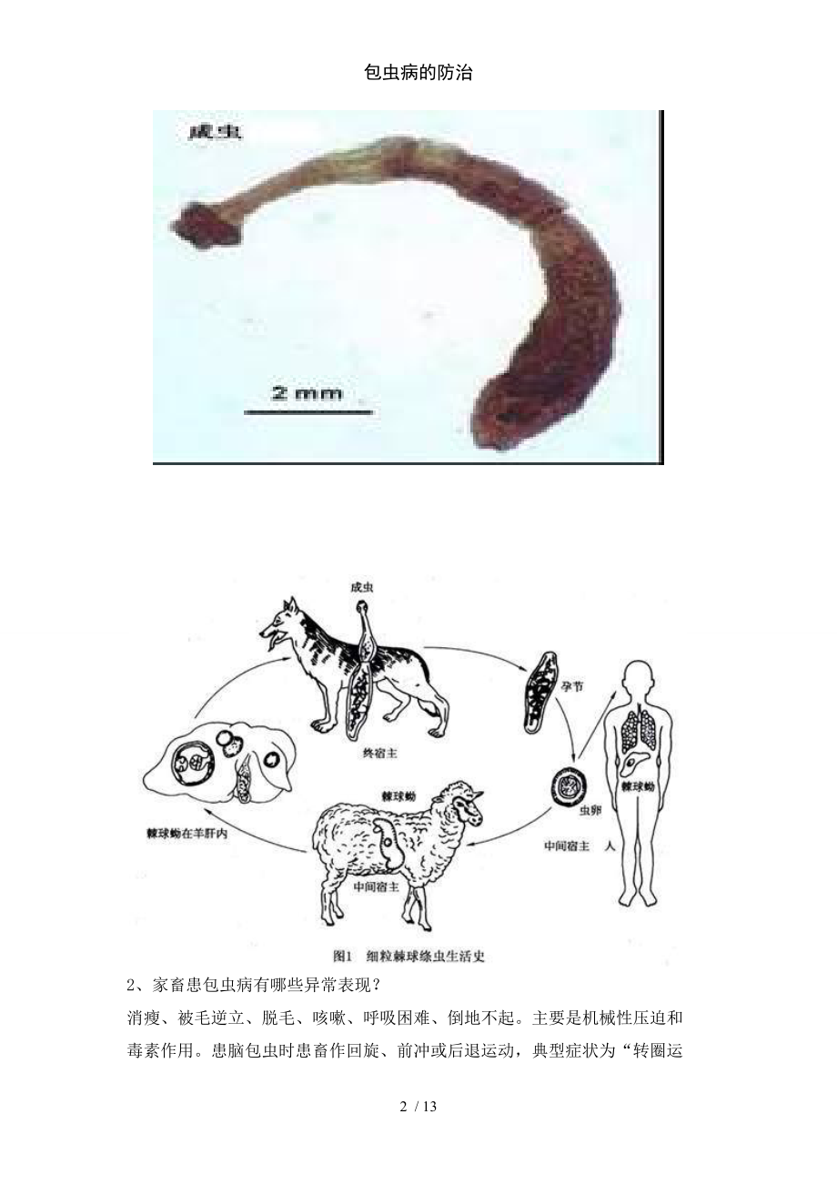 包虫病的防治.doc_第2页