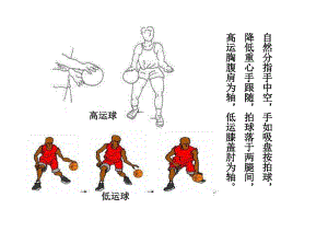 原地高低运球.pdf