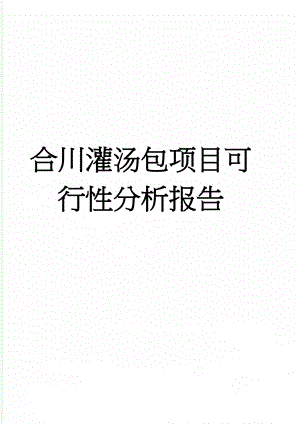 合川灌汤包项目可行性分析报告(23页).doc