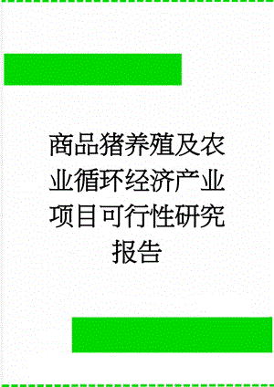 商品猪养殖及农业循环经济产业项目可行性研究报告(89页).doc