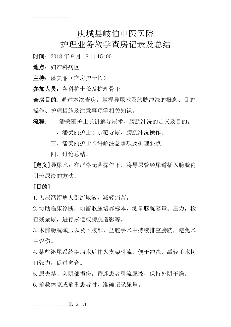 留置导尿护理业务查房总结(5页).doc_第2页