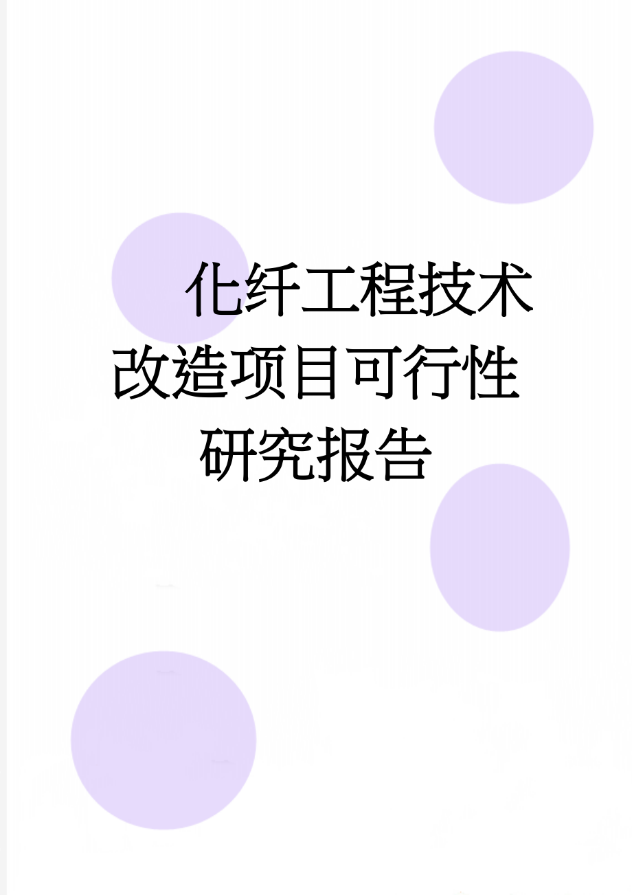 化纤工程技术改造项目可行性研究报告(61页).doc_第1页