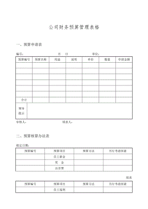 公司财务预算管理表格表单.doc