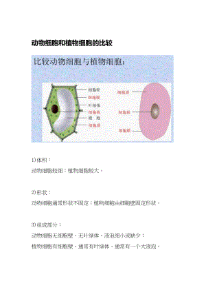 医学专题一动物细胞和植物细胞的比较.docx