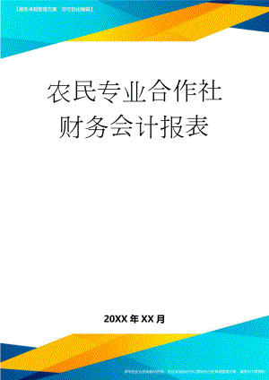 农民专业合作社财务会计报表(12页).doc