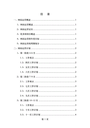 网站运营推广计划及方案.doc