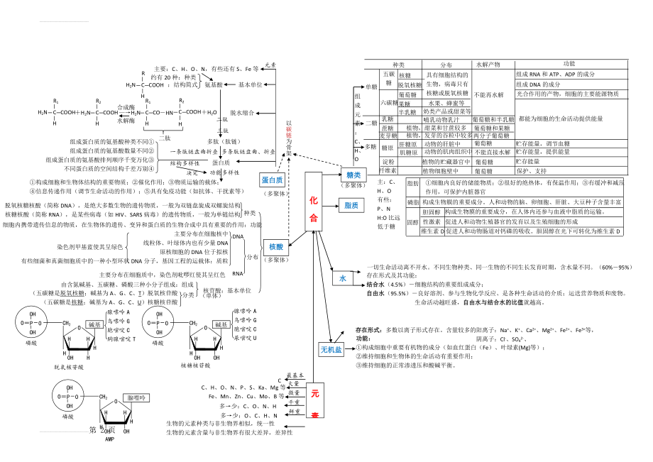 生物必修1 组成细胞的元素和化合物思维导图(2页).doc_第2页