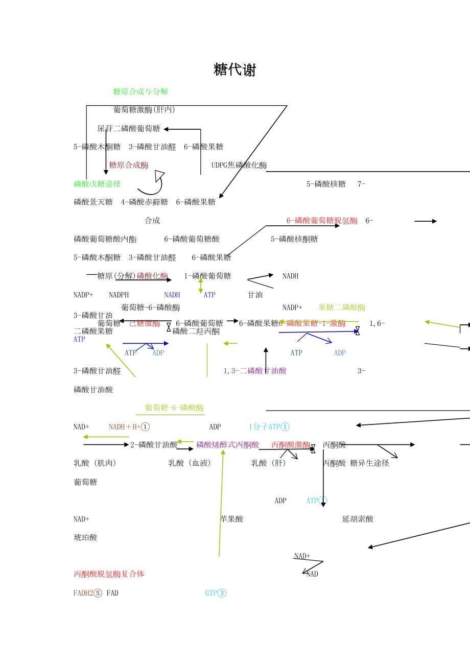 医学专题一四大营养代谢途径.docx_第1页