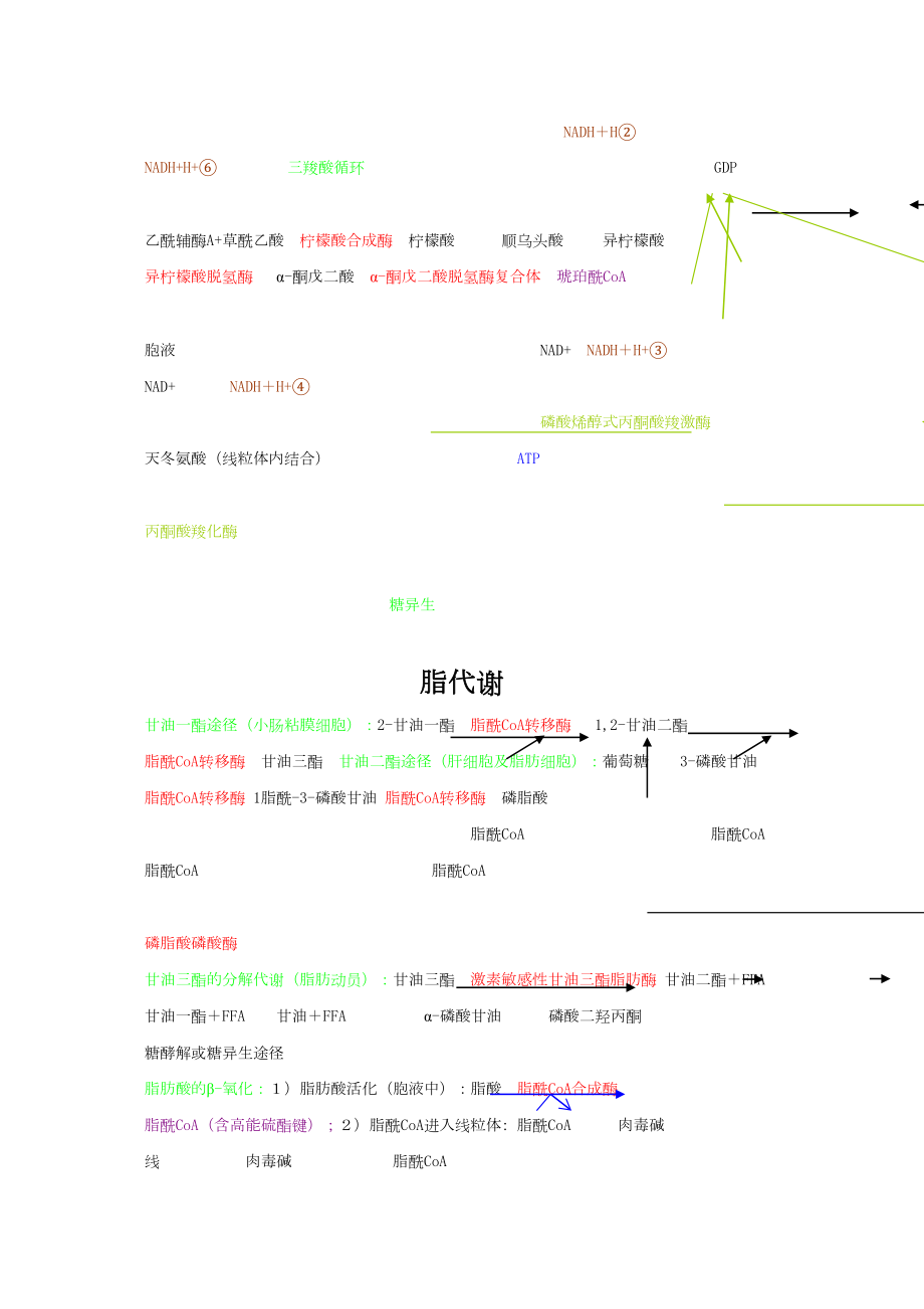 医学专题一四大营养代谢途径.docx_第2页