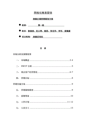 网格化精准营销策划方案.doc