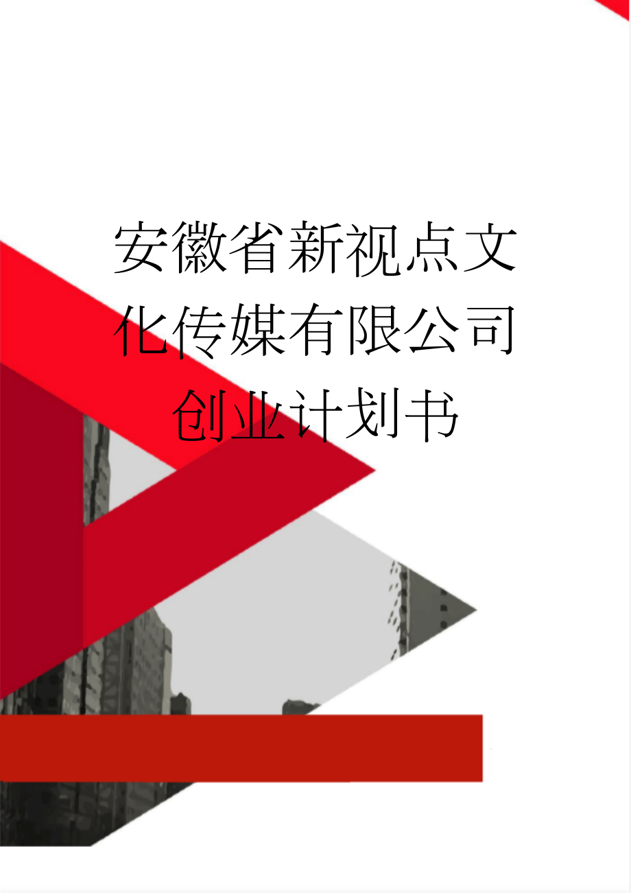 安徽省新视点文化传媒有限公司创业计划书(12页).doc_第1页