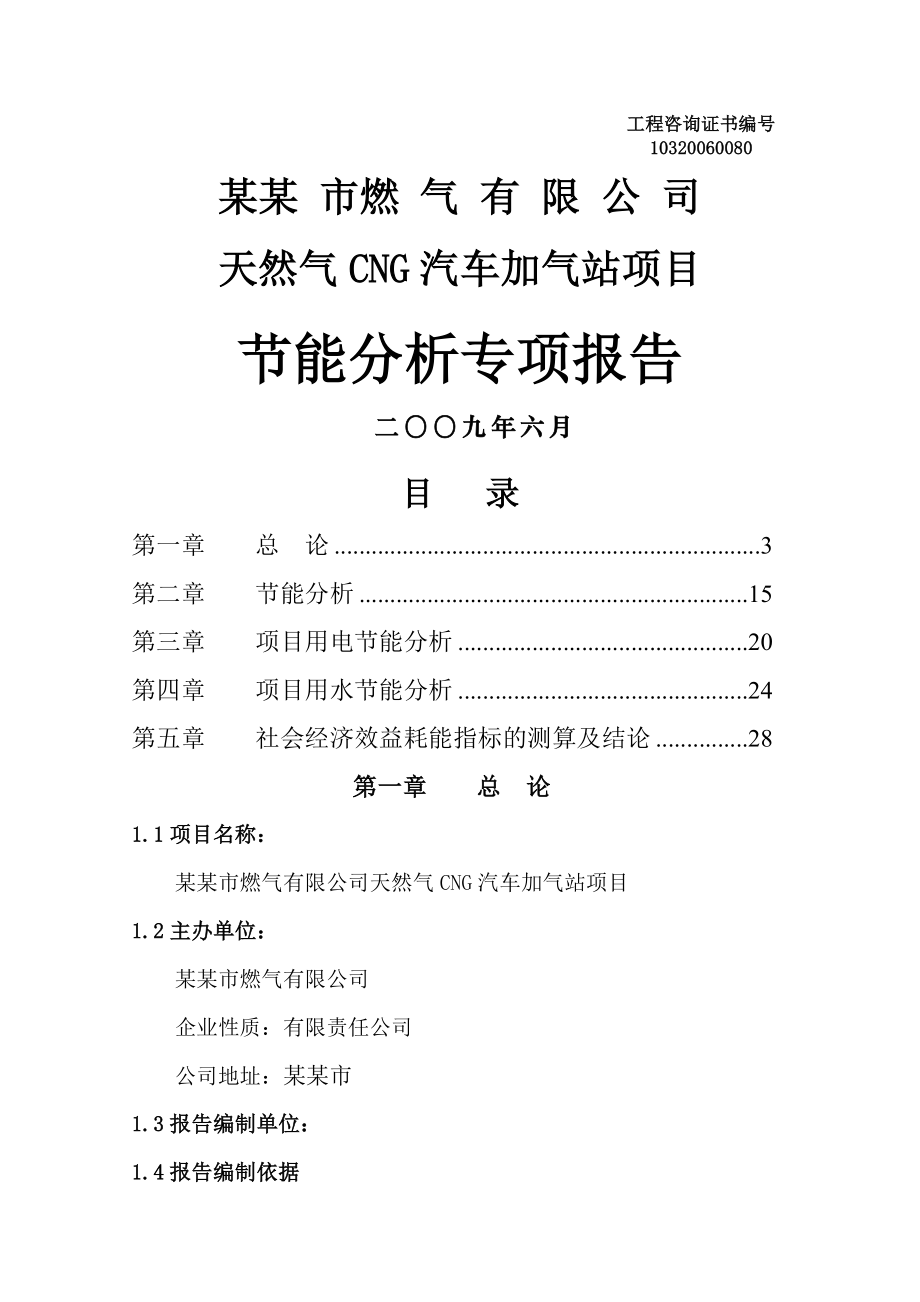 天然气CNG汽车加气站项目节能分析报告(28页).doc_第2页