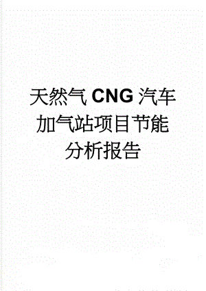 天然气CNG汽车加气站项目节能分析报告(28页).doc