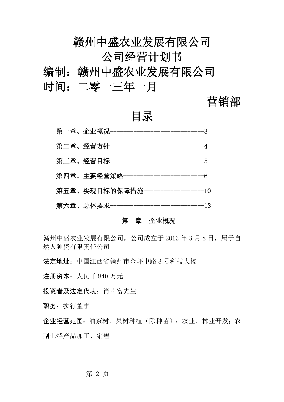 公司运营计划书模板28775(12页).doc_第2页