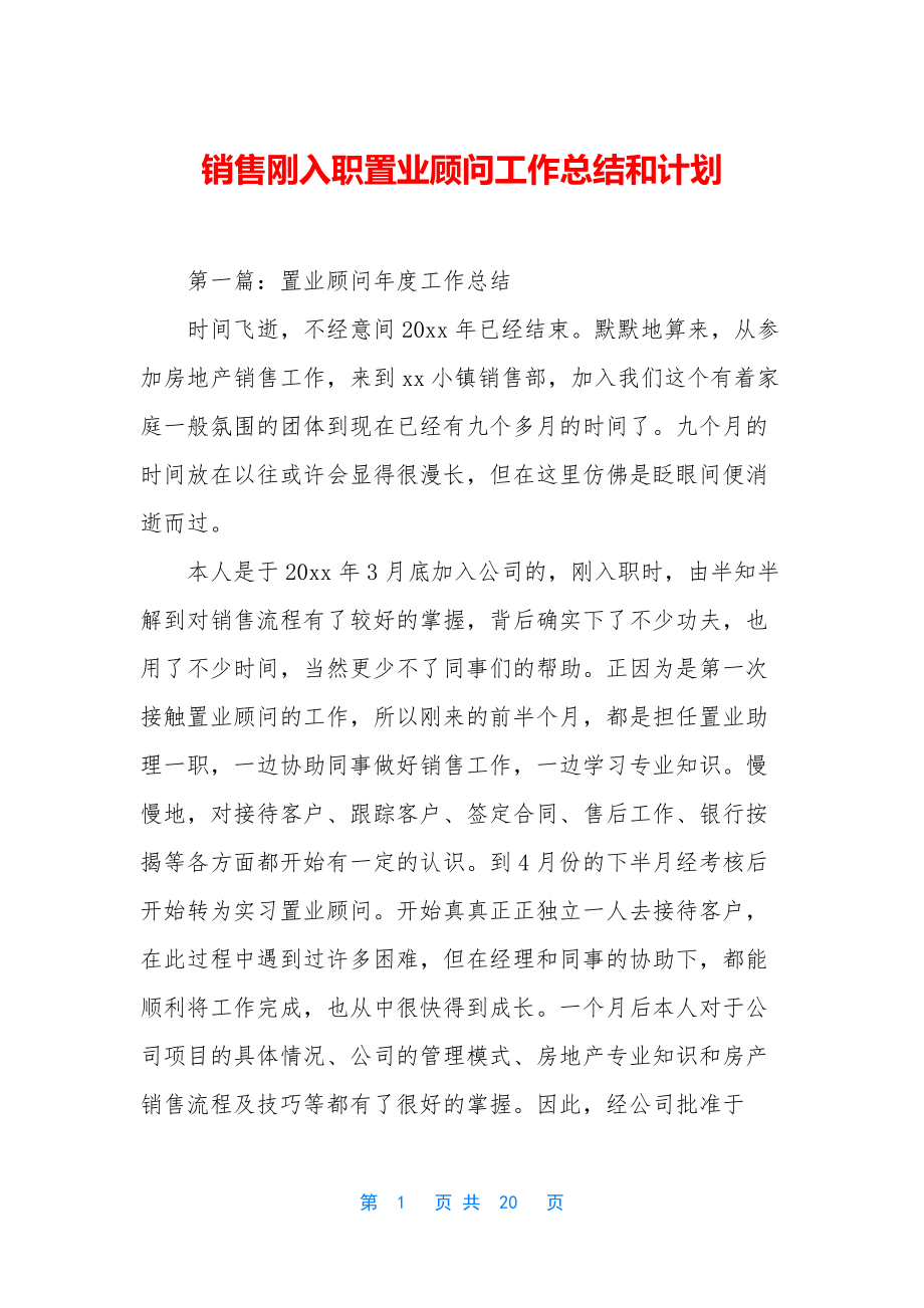 销售刚入职置业顾问工作总结和计划.docx_第1页