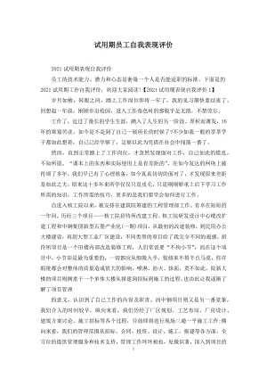 试用期员工自我表现评价.docx