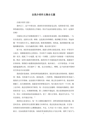 自我介绍作文集合五篇.docx