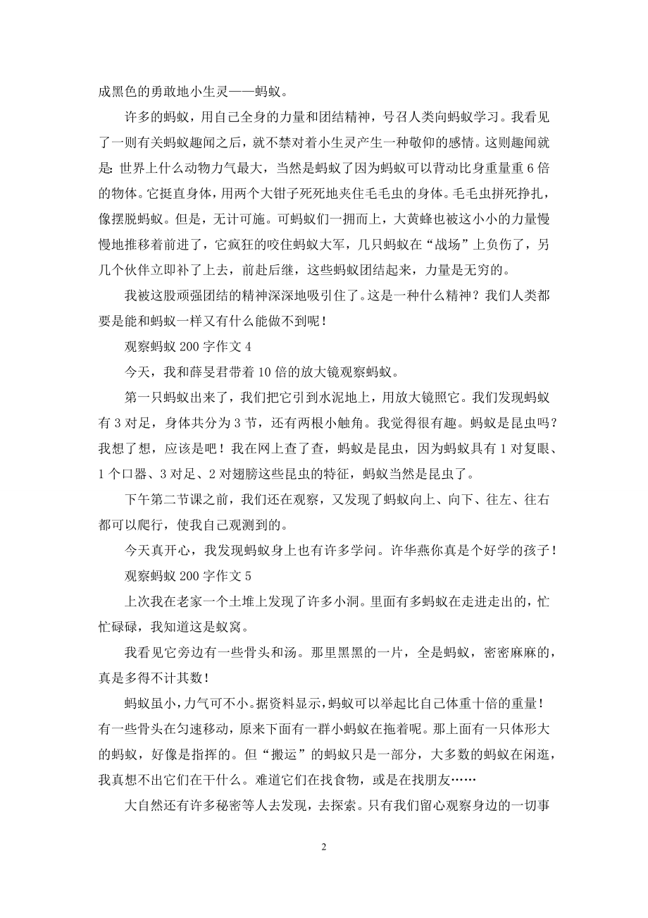 观察蚂蚁200字作文.docx_第2页