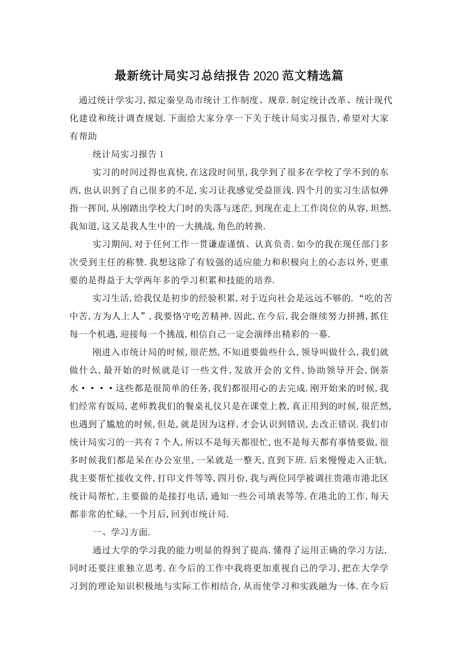 统计局实习总结报告2020范文精选篇.doc_第1页