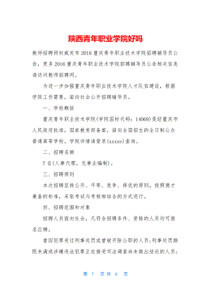 陕西青年职业学院好吗.docx