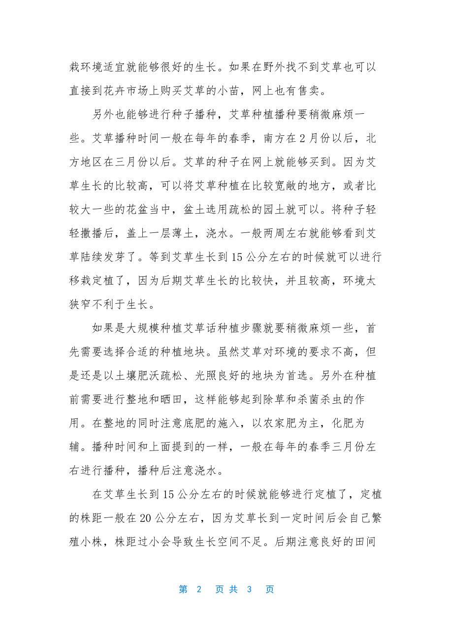 科普-关于艾草种植那些你不知道的知识-艾草种植.docx_第2页