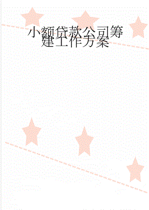 小额贷款公司筹建工作方案(5页).doc