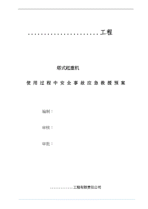 医学专题一塔吊使用过程事故应急救援预案.docx