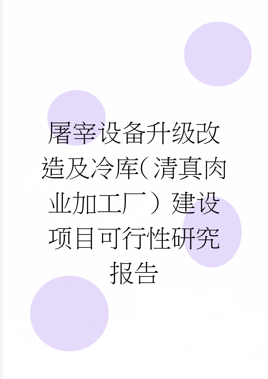 屠宰设备升级改造及冷库（清真肉业加工厂）建设项目可行性研究报告(32页).doc_第1页