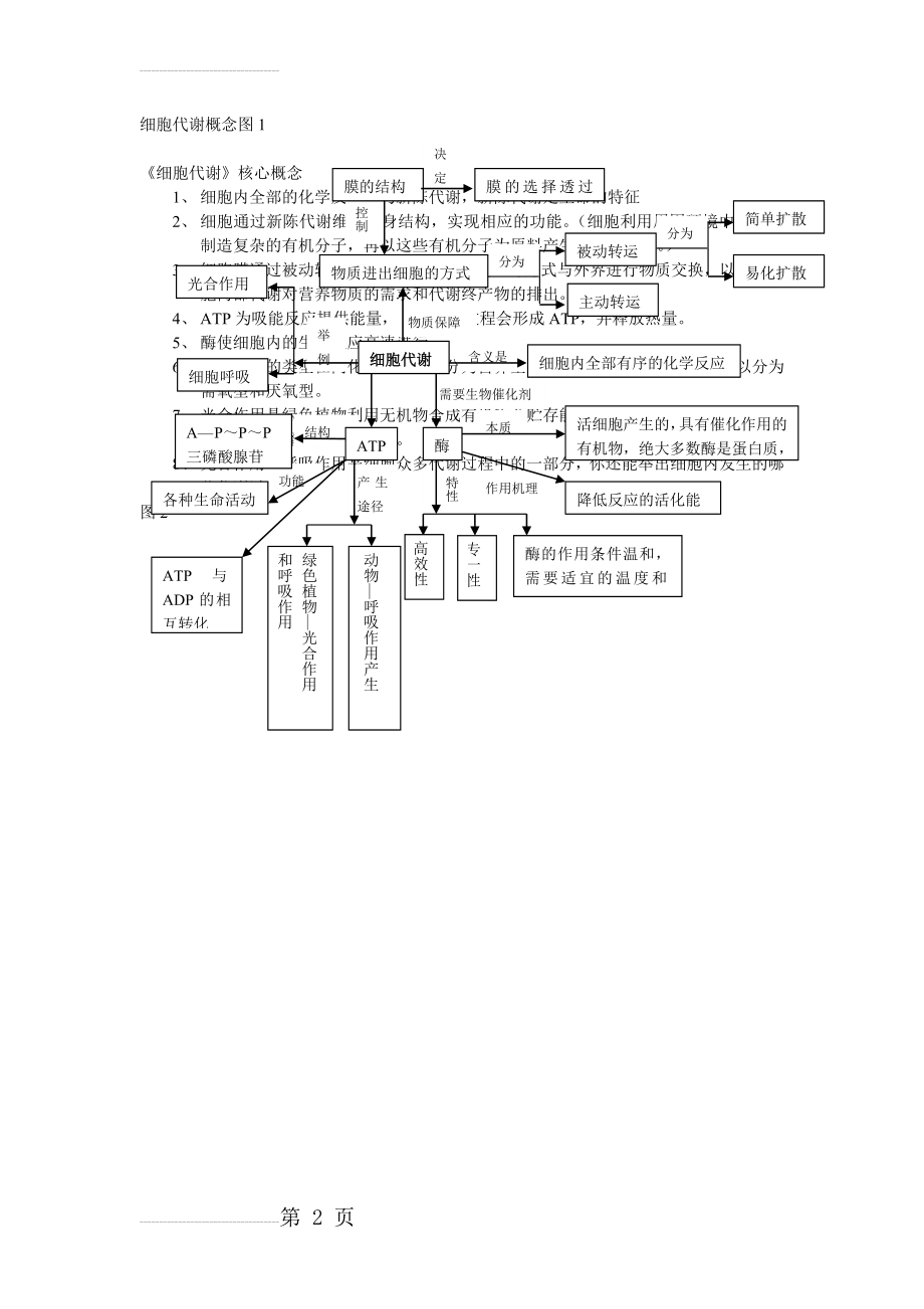 细胞代谢概念图(2页).doc_第2页