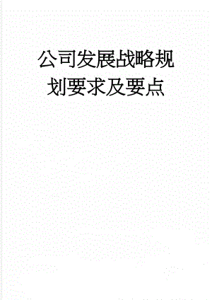 公司发展战略规划要求及要点(17页).doc