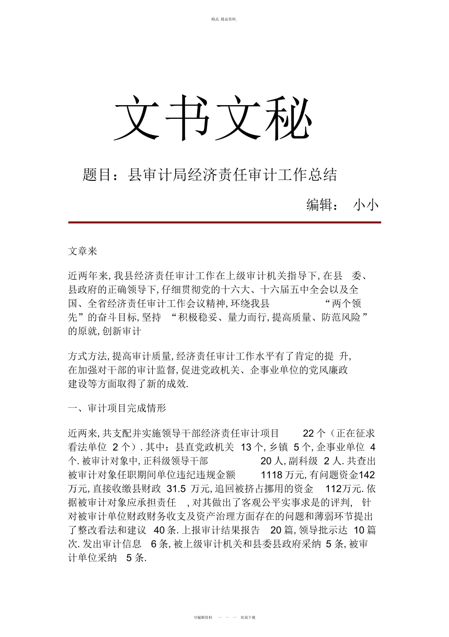 2022年县审计局经济责任审计工作总结.docx_第1页