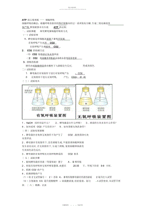 2022年光合作用和呼吸作用知识点总结.docx