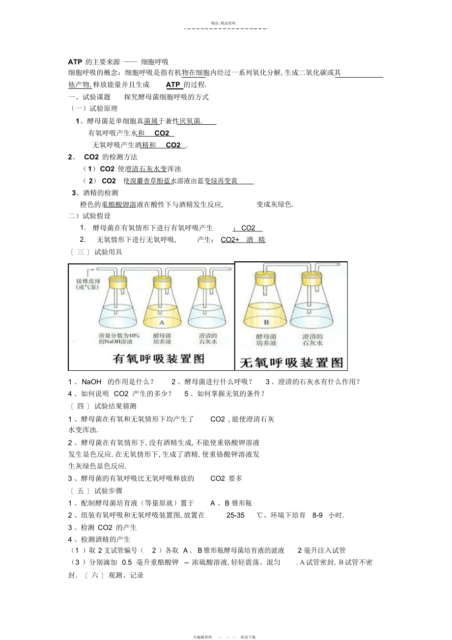 2022年光合作用和呼吸作用知识点总结.docx_第1页