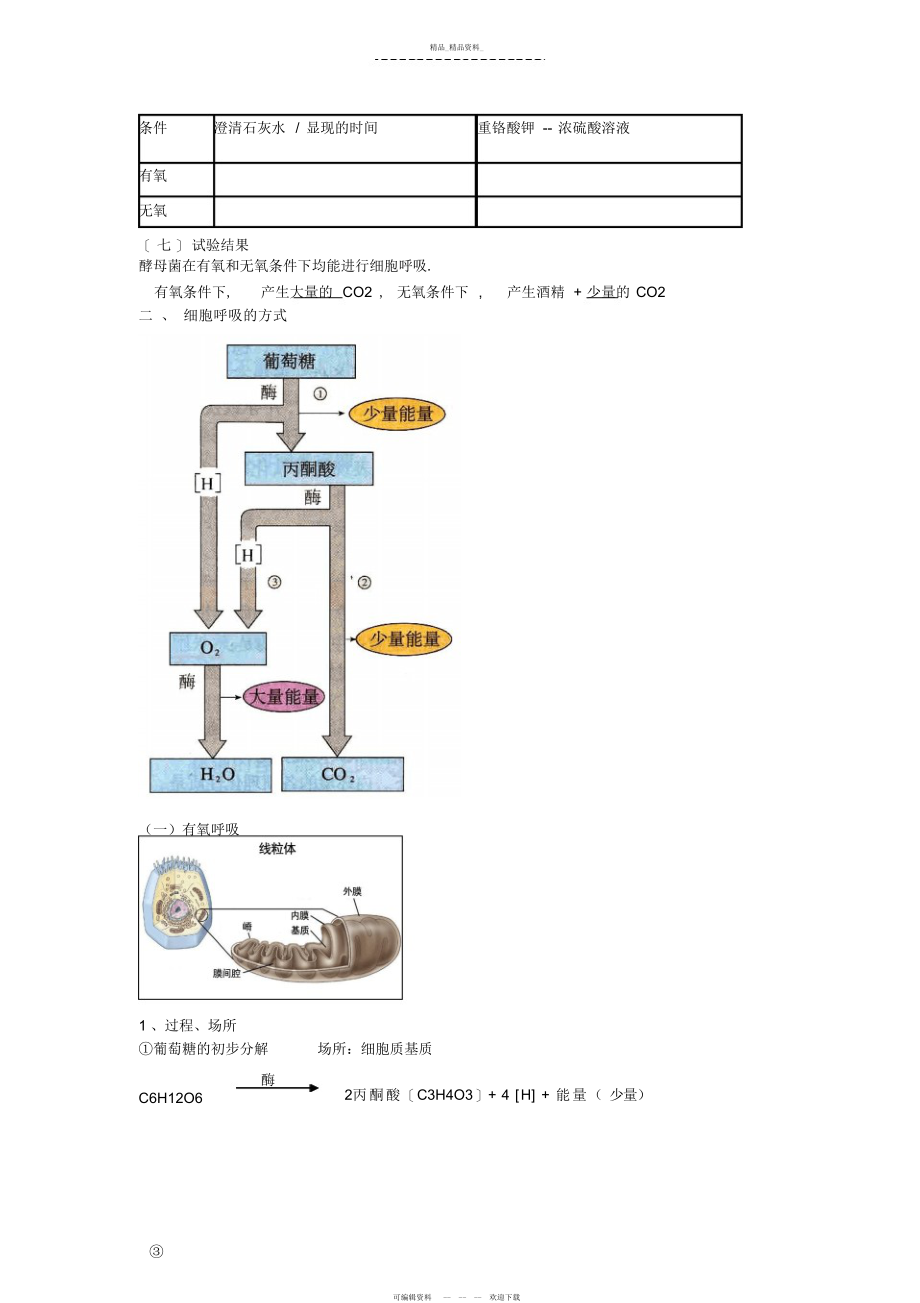 2022年光合作用和呼吸作用知识点总结.docx_第2页