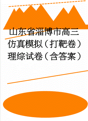 山东省淄博市高三仿真模拟（打靶卷）理综试卷（含答案）(24页).doc