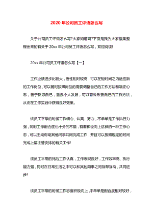 公司员工评语怎么写.docx