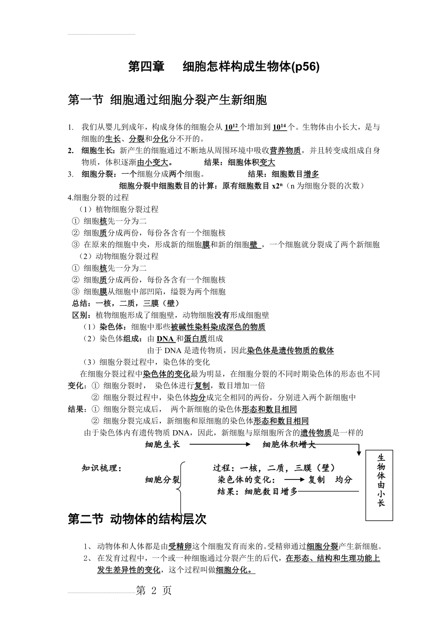 细胞怎样构成生物体复习知识点(8页).doc_第2页