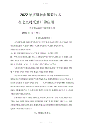 2022年东部项目组多缝压裂总结报告.docx