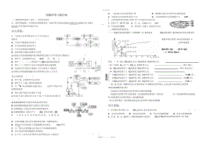 2022年一轮复习细胞呼吸习题归纳.docx