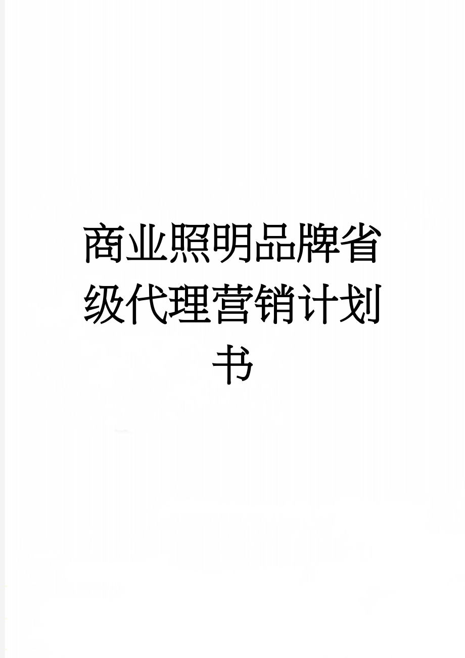 商业照明品牌省级代理营销计划书(19页).doc_第1页