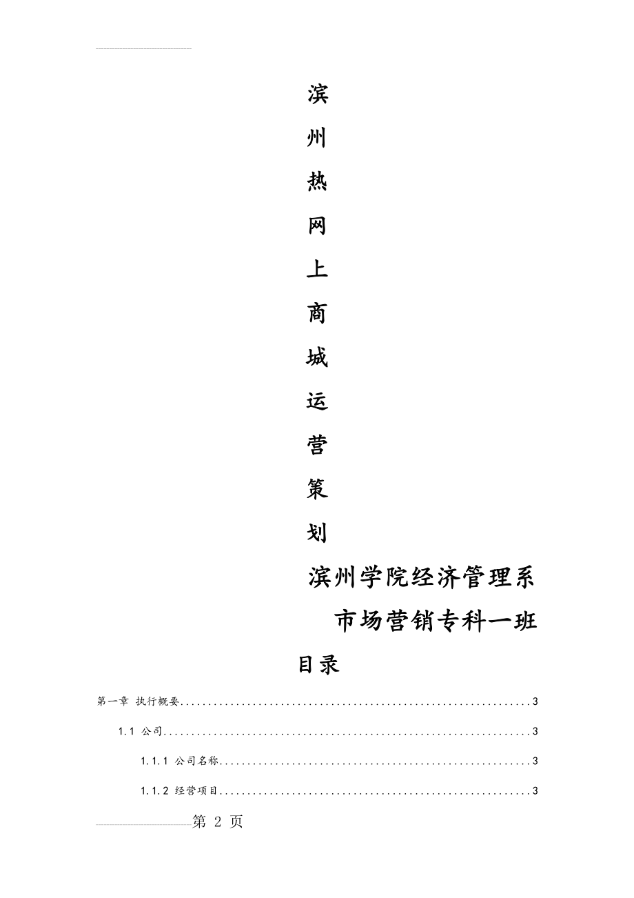 网上商城运营策划方案--市场营销专业(14页).doc_第2页