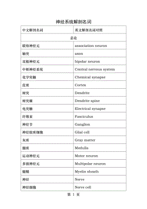 解剖名词中英对照(神经系统部分).doc