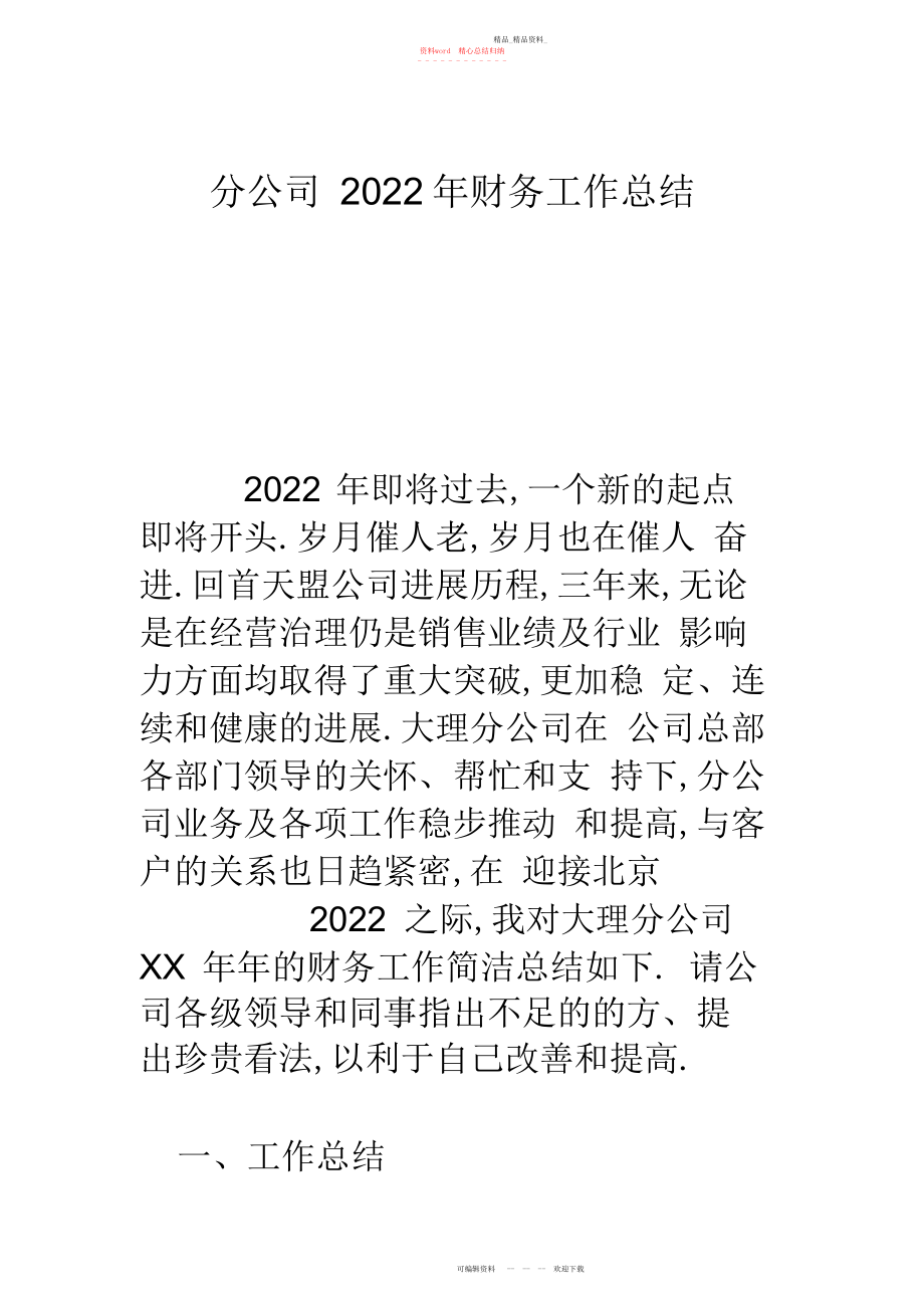 2022年分公司财务工作总结资料讲解.docx_第1页