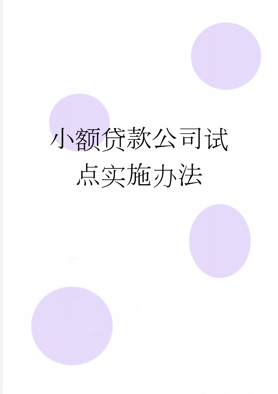 小额贷款公司试点实施办法(24页).docx_第1页